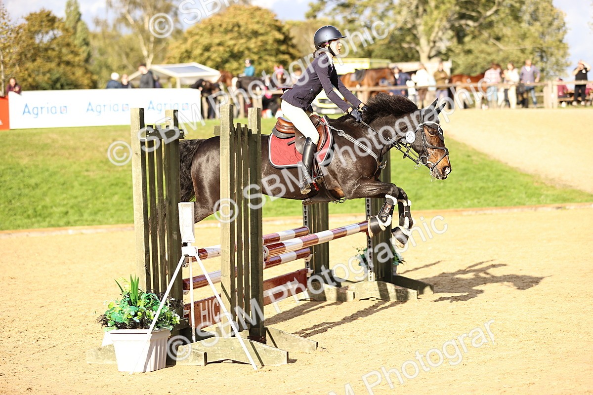 SBM_51782 - J10 - Junior Pony 75cm Championship
