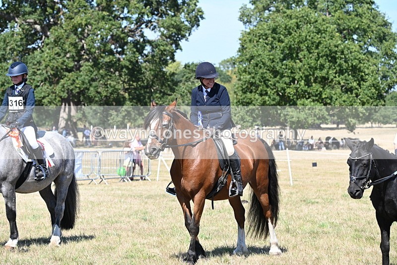 WJ6_8477 - Class 37a Best Loan Pony Ridden