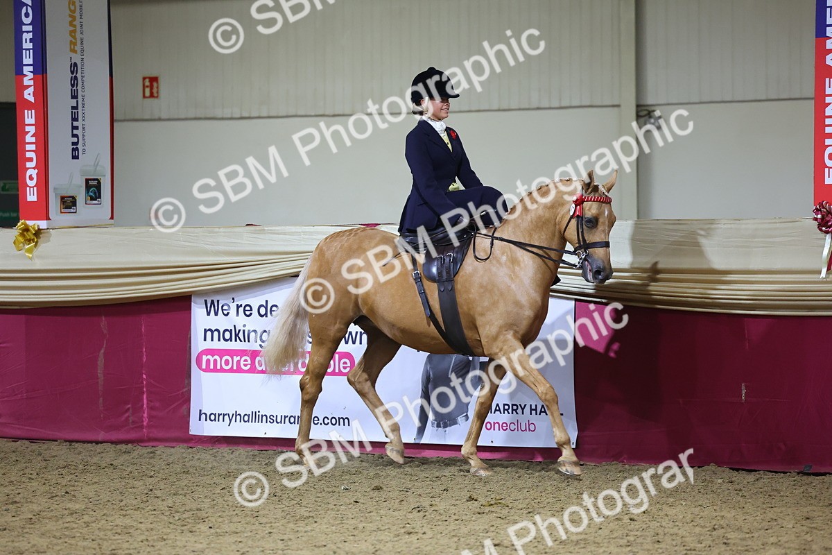 0B8A4232 - Class L Side Saddle Champ