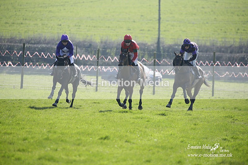 PtP 190322 291 - Wilton Hunt PtP Milborne St Andrew 19/03/22