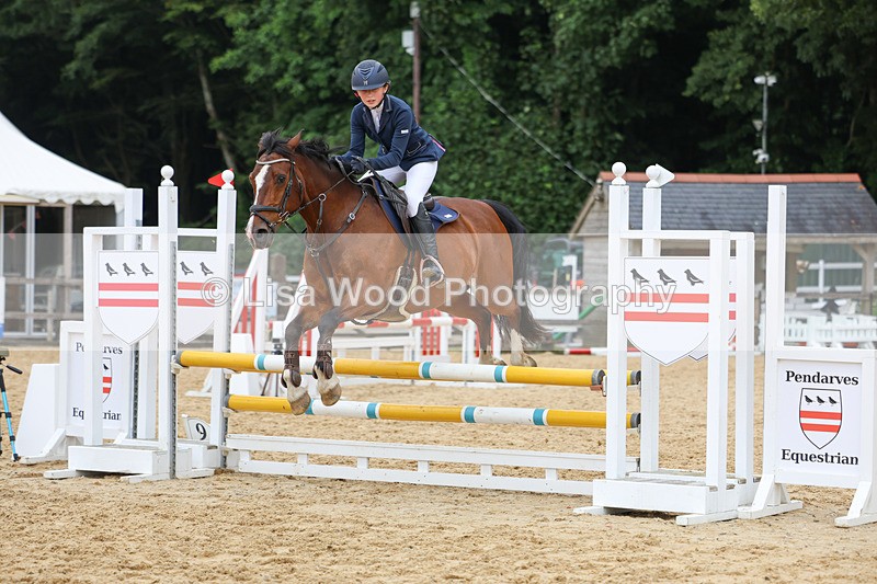 3E7A6847 - Class 13: Pony British Noise/80cm open