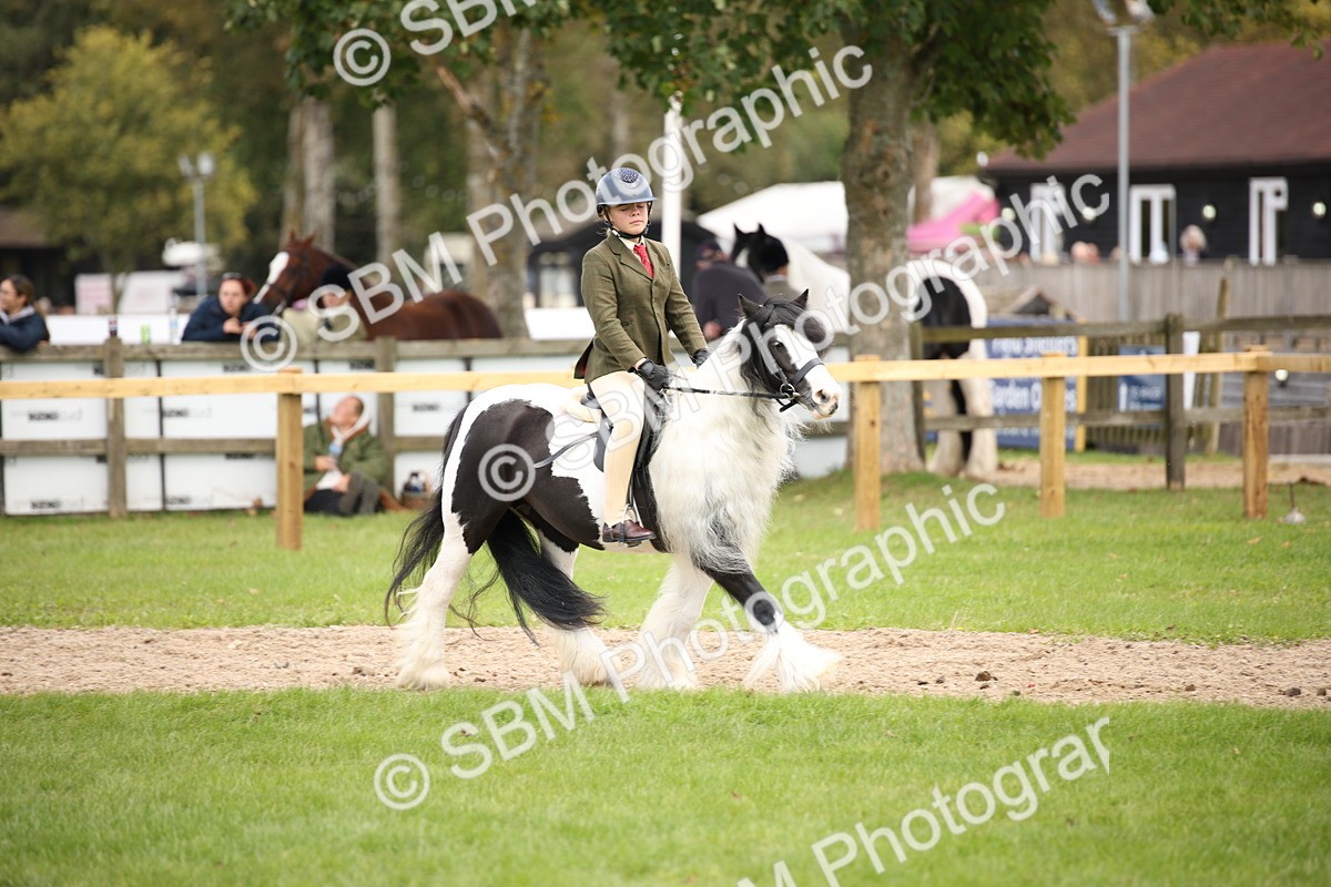 SBM_42359 - S13 - Pony Club Pony
