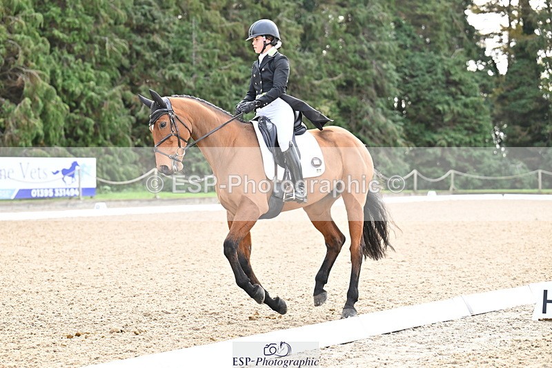 251023A-111541-01196 - C-227-Tarka.Abraham