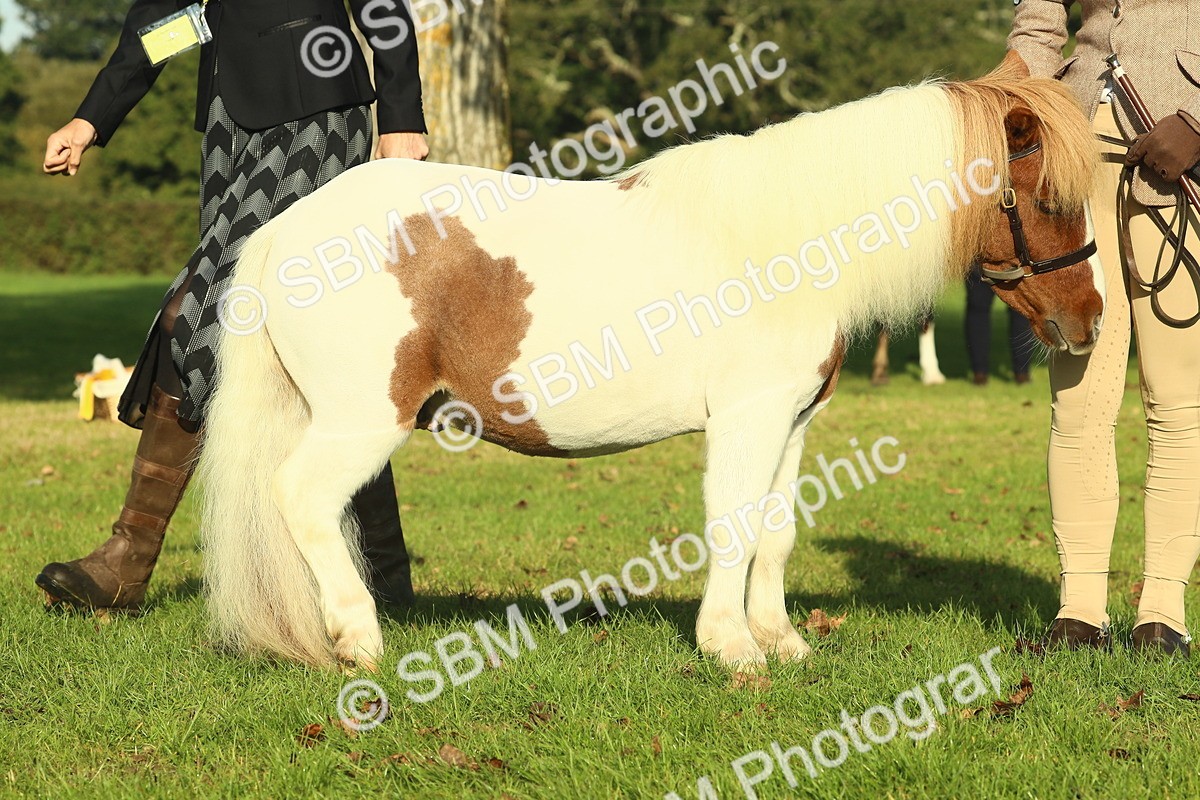 SBM_58578 - S37 - Starters In Hand Showing