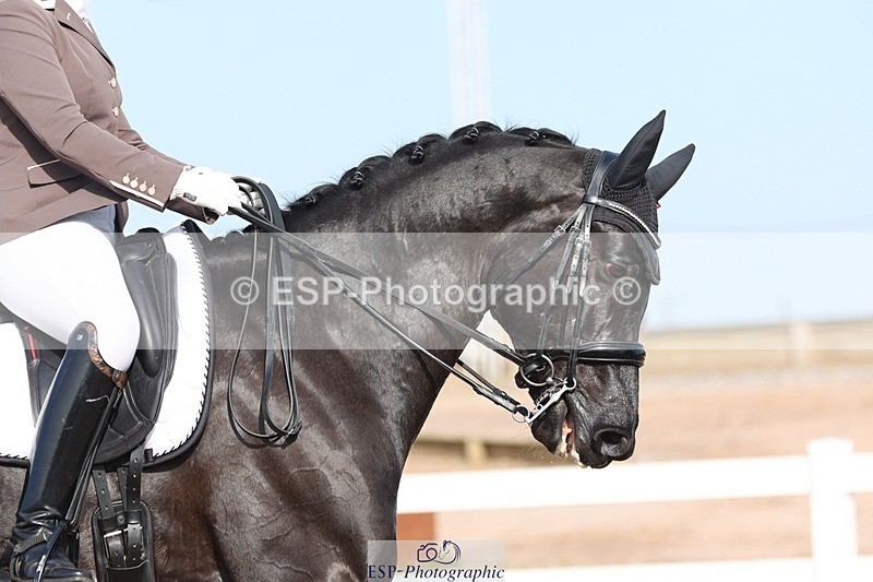 250404-162443-07503 - 124-Penny.Smith-Rembrandt.GSH