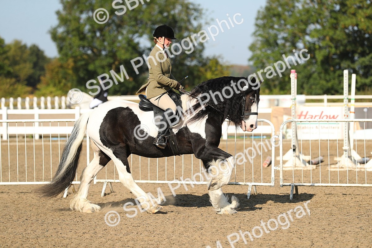 SBM_01127 - Class 42 Ridden Veteran