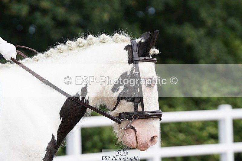 250621-091456-05497 - Quest Cls 1-5, Intro All