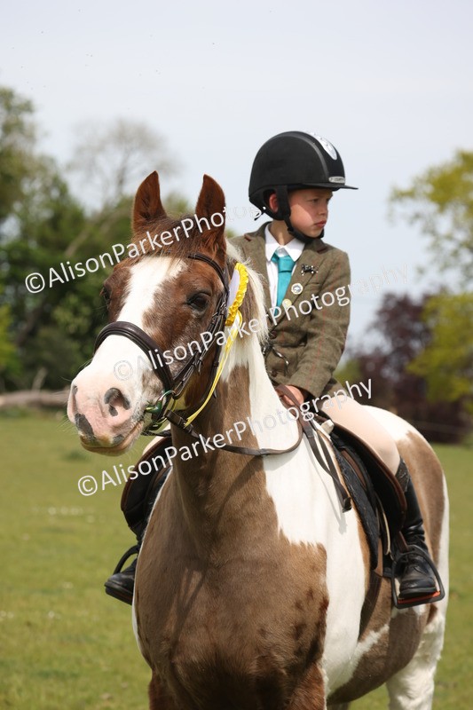 20260426-4434 - Class 34 - Best Riding Horse Over 14.2hh