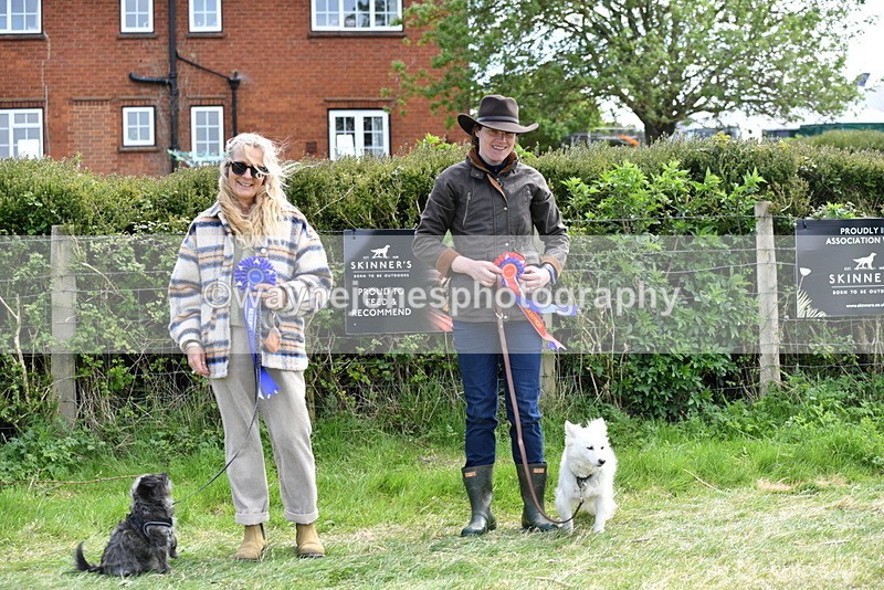 WJ5_0851 - Best in Show Championship