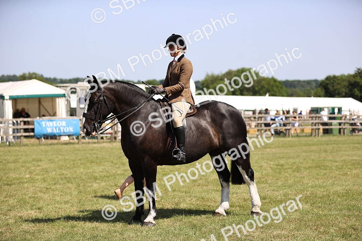 SBM_17878 - Class 81-83 - TSR Ridden Amateur of the Year - Horses