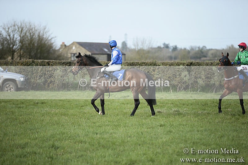 PtP 230319 320 - VWH Hunt Siddington Point-to-Point Racing 23/03/19