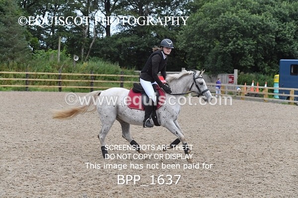 BPP_1637 - DERBY CLASS 4 - 50CM