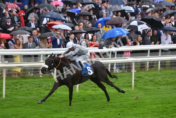 yr21082021r5-5 - Race 5 4.10pm Julia Graves Roses Stakes