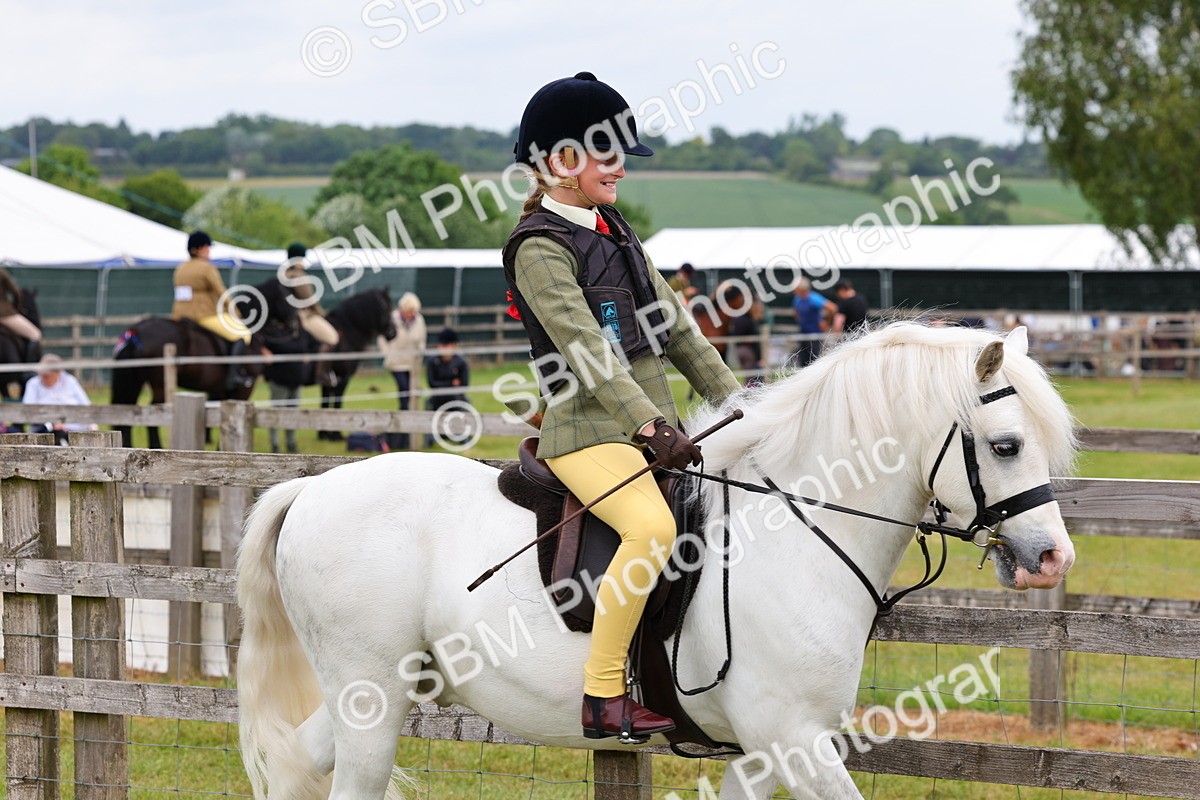 SBM_08444 - Class 42-43 - LIHS BSPS Heritage Working Sports Pony
