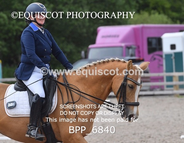 BPP_6840 - 3 D HARRISON