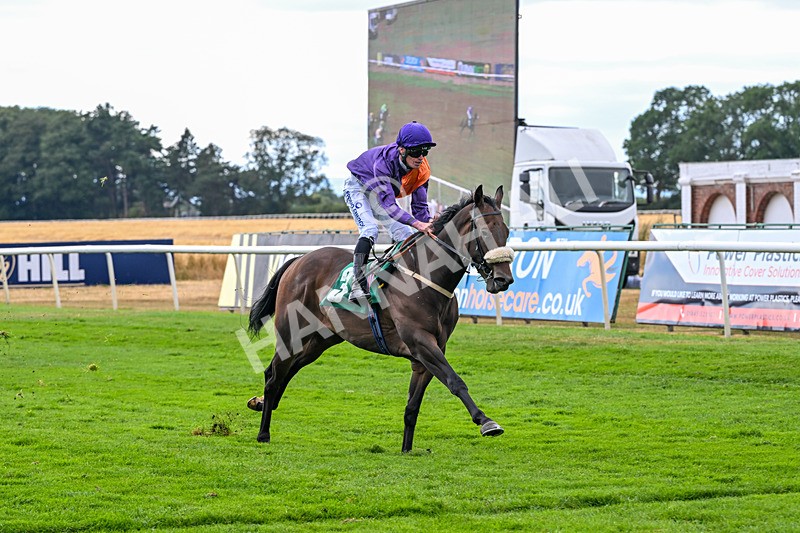 070826-Race 6-Great Profit-2181 - Race 6 16.40pm Country Music Night Here Next Friday 14th August Handicap