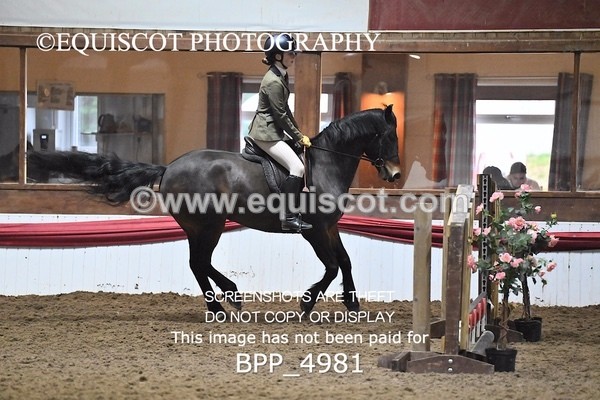 BPP_4981 - CLASS 3 40CM