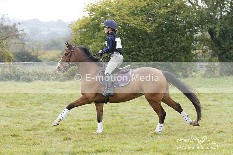 WWHT 171021 1001 - Open Novice (0.80m)  17/10/21