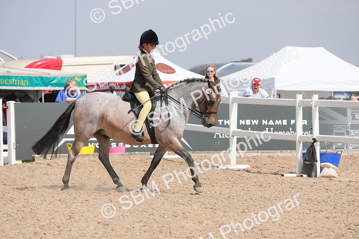 SBM_15569 - Class 311 Ridden Show Pony/ Show Hunter Pony