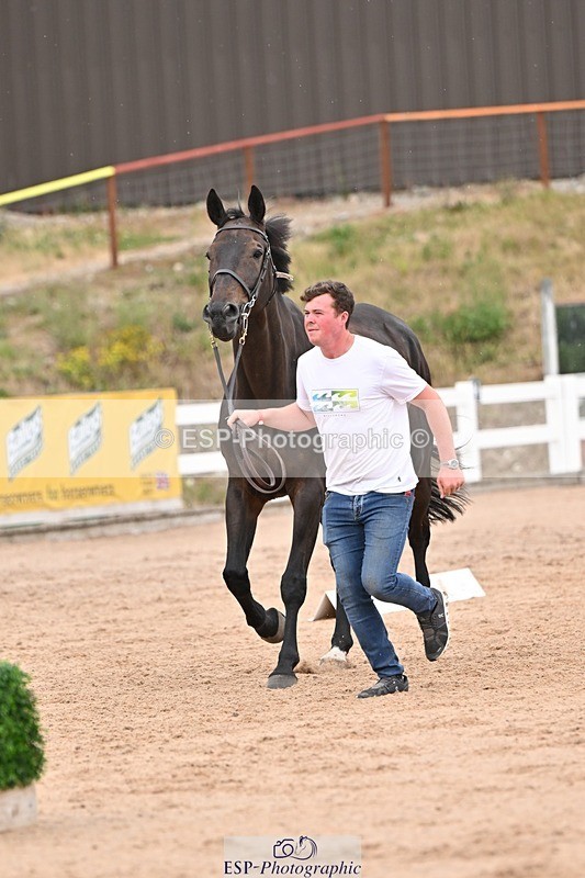 250716-160956-02475 - Trot Up 3.30 to 4.30