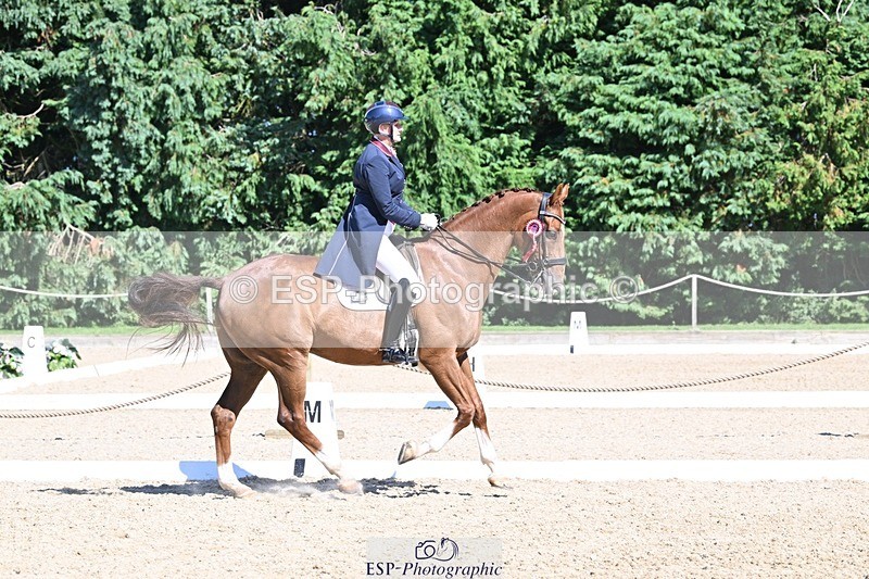 240811-154527-06838 - Inter I Silver