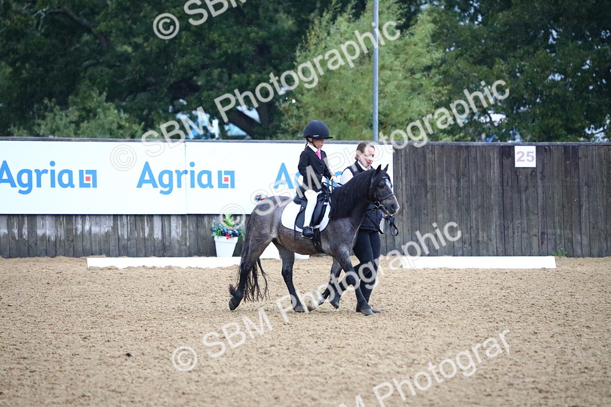 SBM_34636 - D26 - Starters Lead Rein