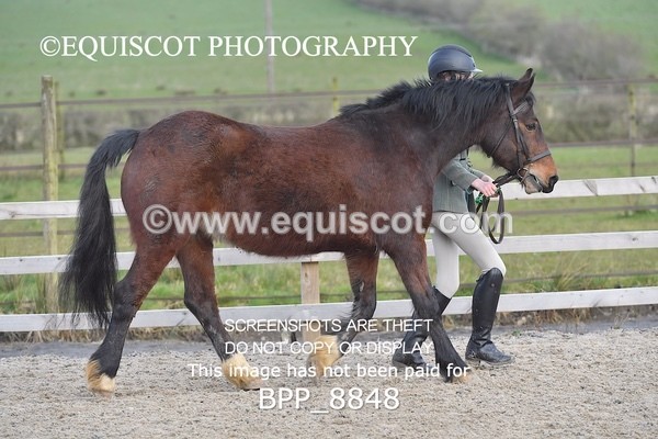 BPP_8848 - RING 2 - M&M