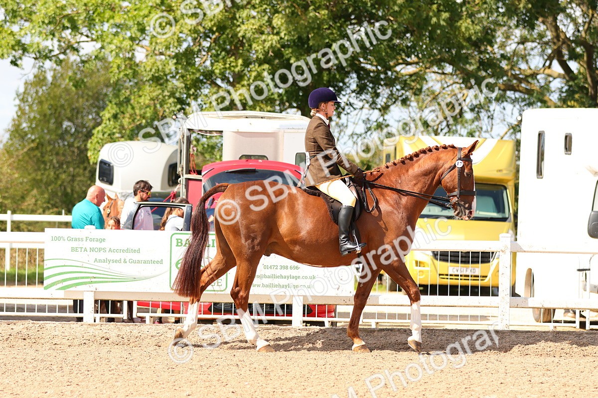 SBM_13443 - Class 212 - Ridden Hunter  - Large