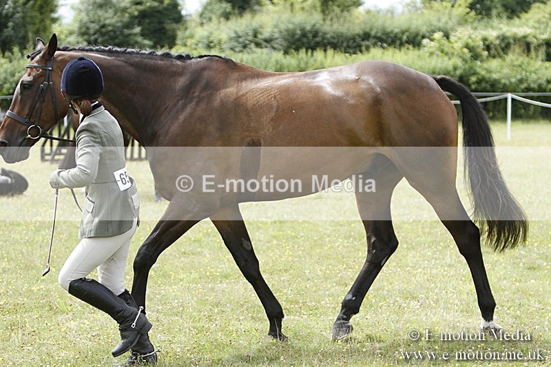 BVR160717-1849 - Ring 3 BVRC Show 16/07/17