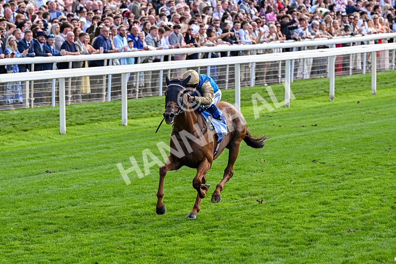 220826-Race 1-Archivist-0229 - Race 1 13.50pm Sky Bet Strensall Stakes