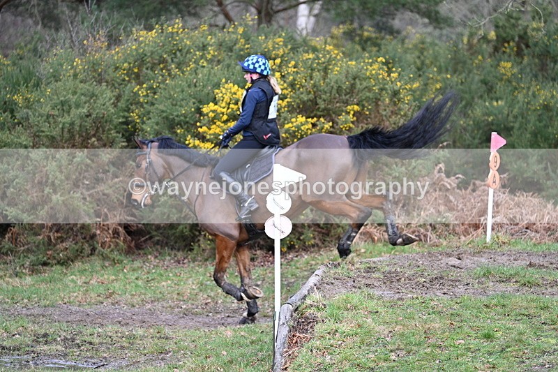 WJ7_8165 - Time 11:09 to 11:38