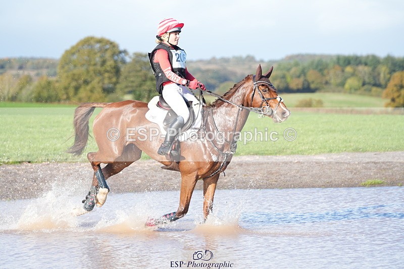 251024A-143903-12874 - C-206-Madison.Tapner