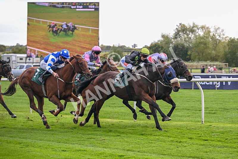 171026-Race 4-Woodstock-5730 - Race 4 2.45pm William Hill Best Odds Guaranteed Veterans' Handicap
