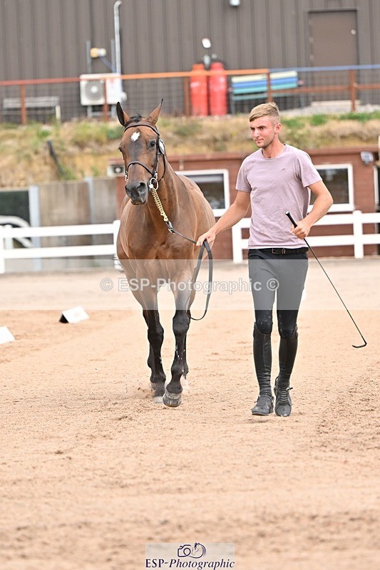 250716-150355-01602 - Trot Up 2.30 to 3.30