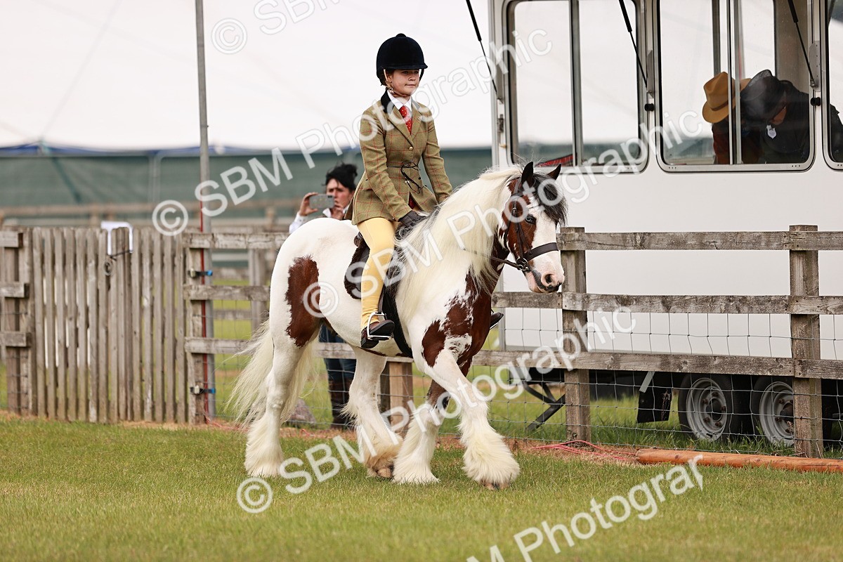 SBM_06092 - Class 39-41 TGCA In Hand and Ridden