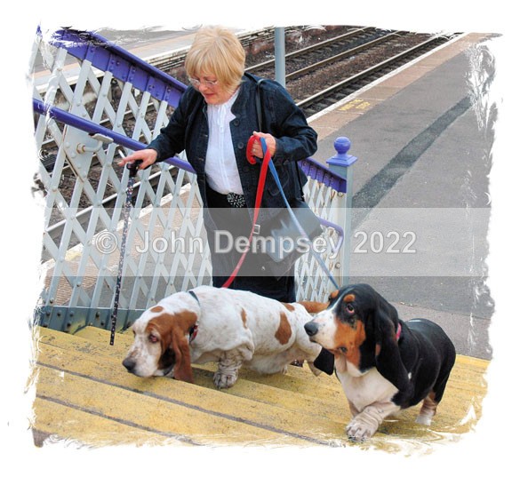 Harriet and Delilah... - Walking the Dog