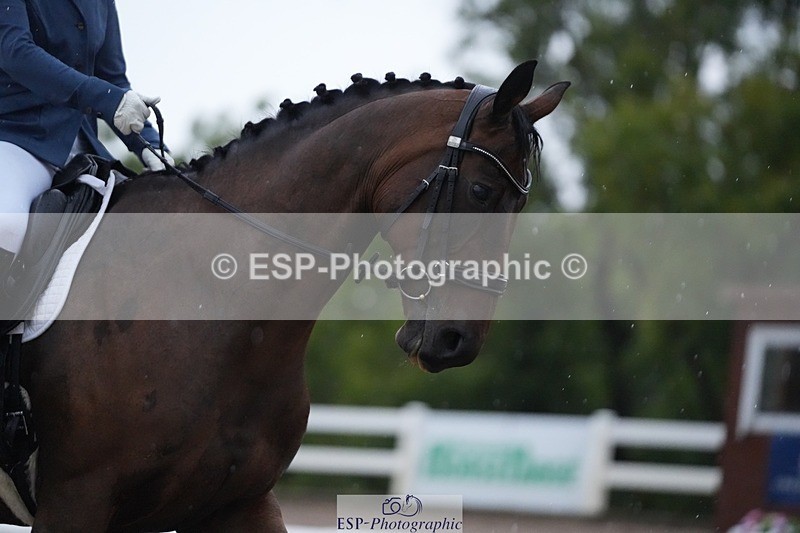 250907-084339-05531 - 087-Lauren.LanikSew.N.Sew