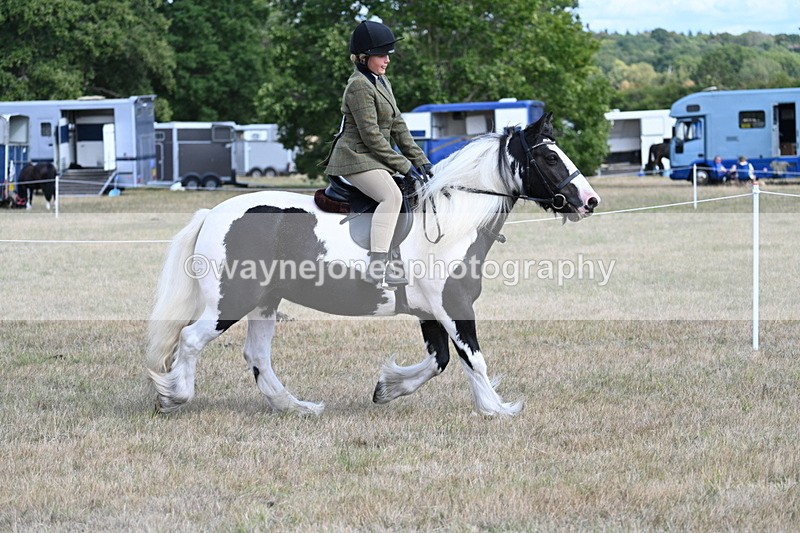 WJ7_6815 - Class 14 Ridden Coloured