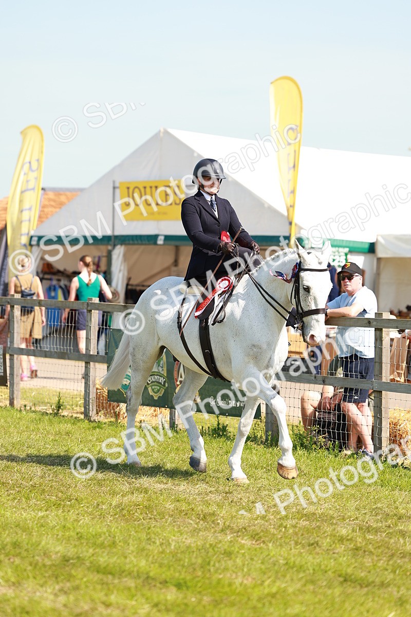 SBM_13284 - Class 70-71 - Side Saddle