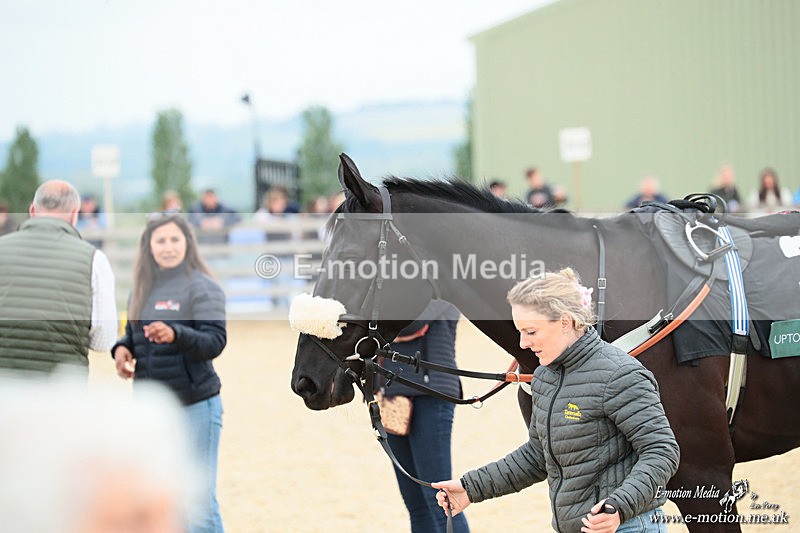 PtP 040526 558 - Mollington Point-to-Point 04/05/26