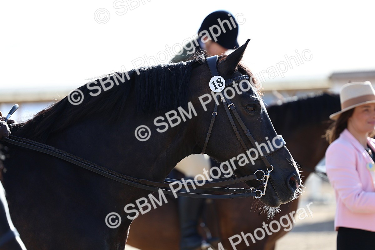 SBM_08937 - Class 302 - Ridden M&M - Large Breeds