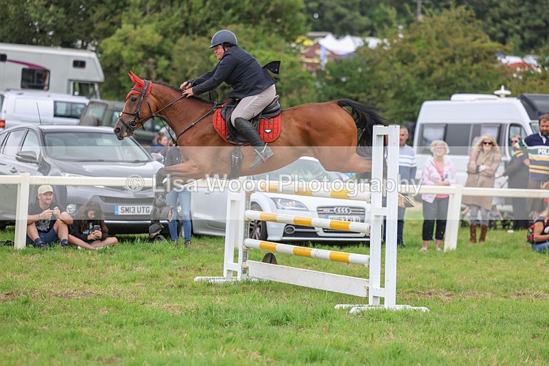 3E7A8263 - Class 7: Senior Newcomers/1.10m open