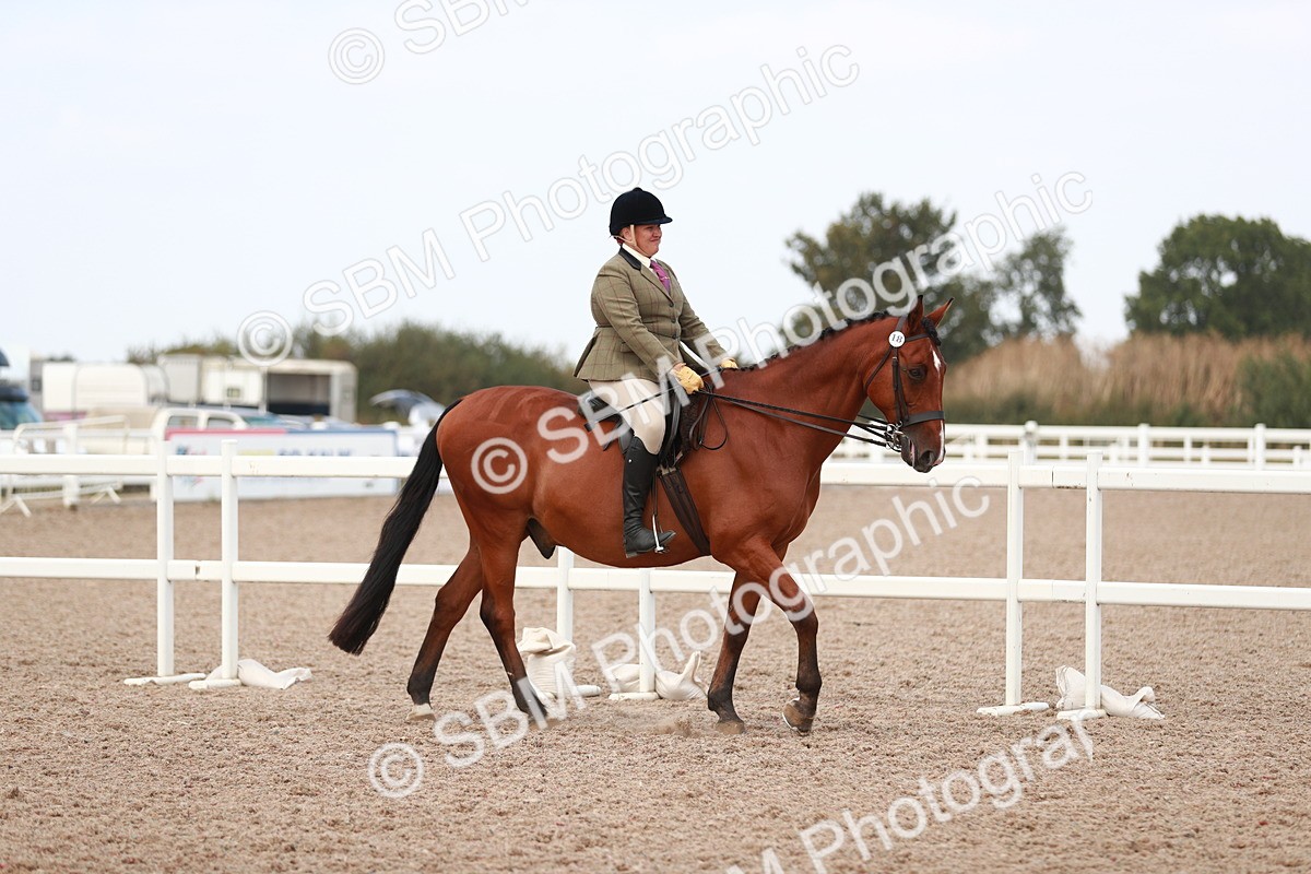 SBM_15475 - Class 213 Ridden Hunter -Large