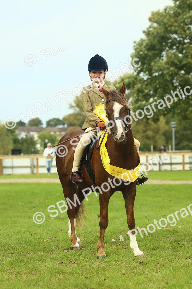 SBM_70020 - S59 - Mountain & Moorland Ridden Small Breeds