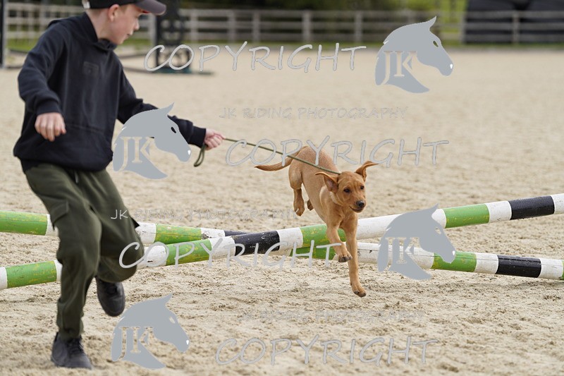 _DSC0014 - Mini Pairs