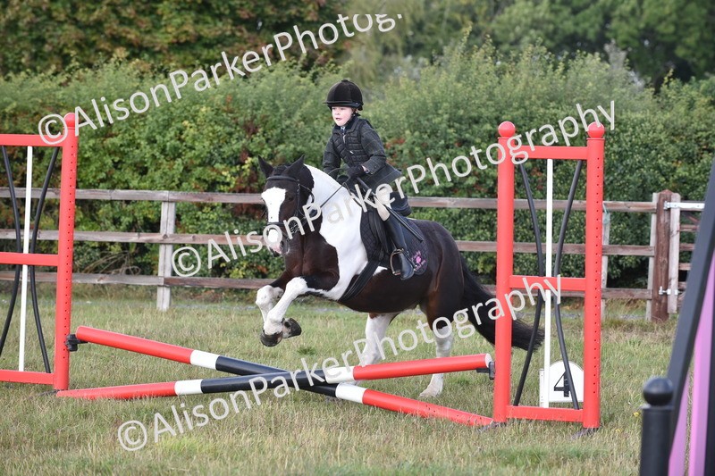 20250831-0463 - Class 7 - Absolute Novice 35cm