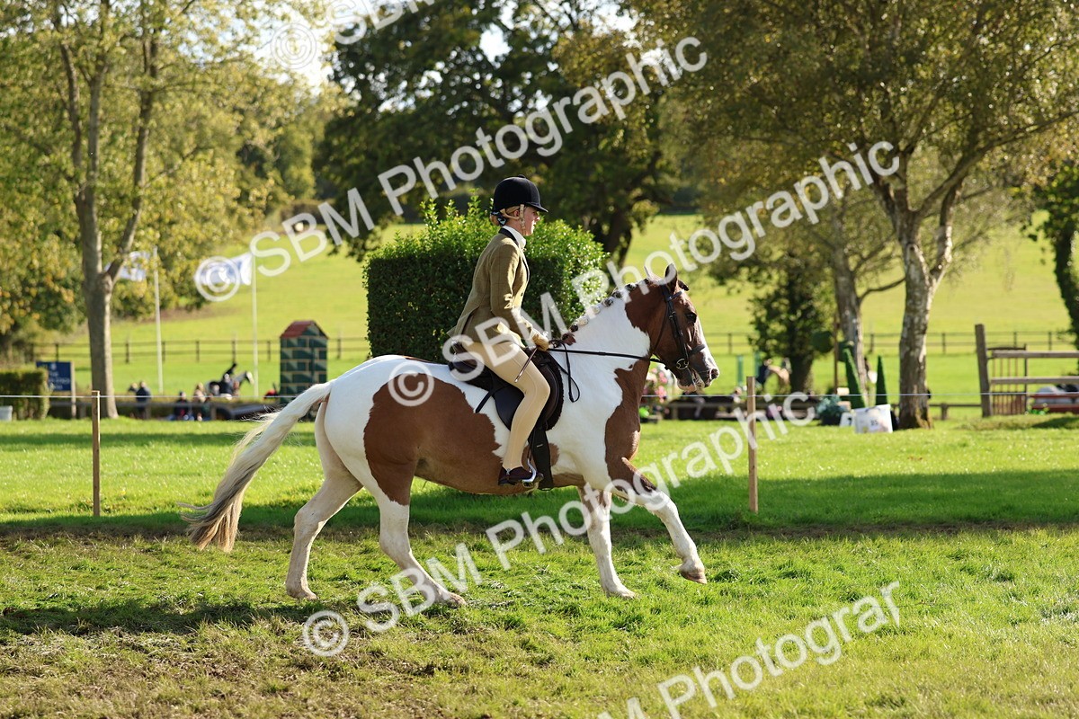 SBM_52396 - S13 - Pony Club Pony