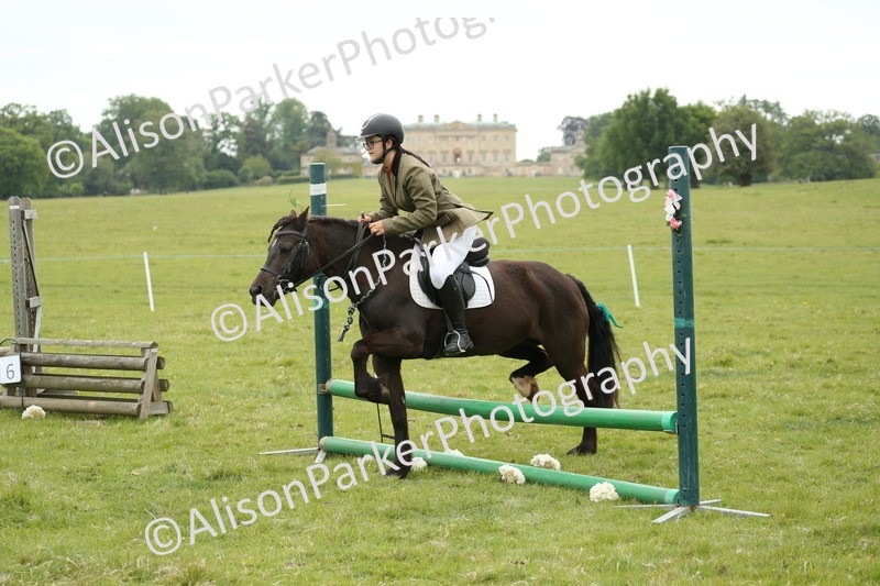 20250517-1014 - Class 21 - Novice Working Hunter