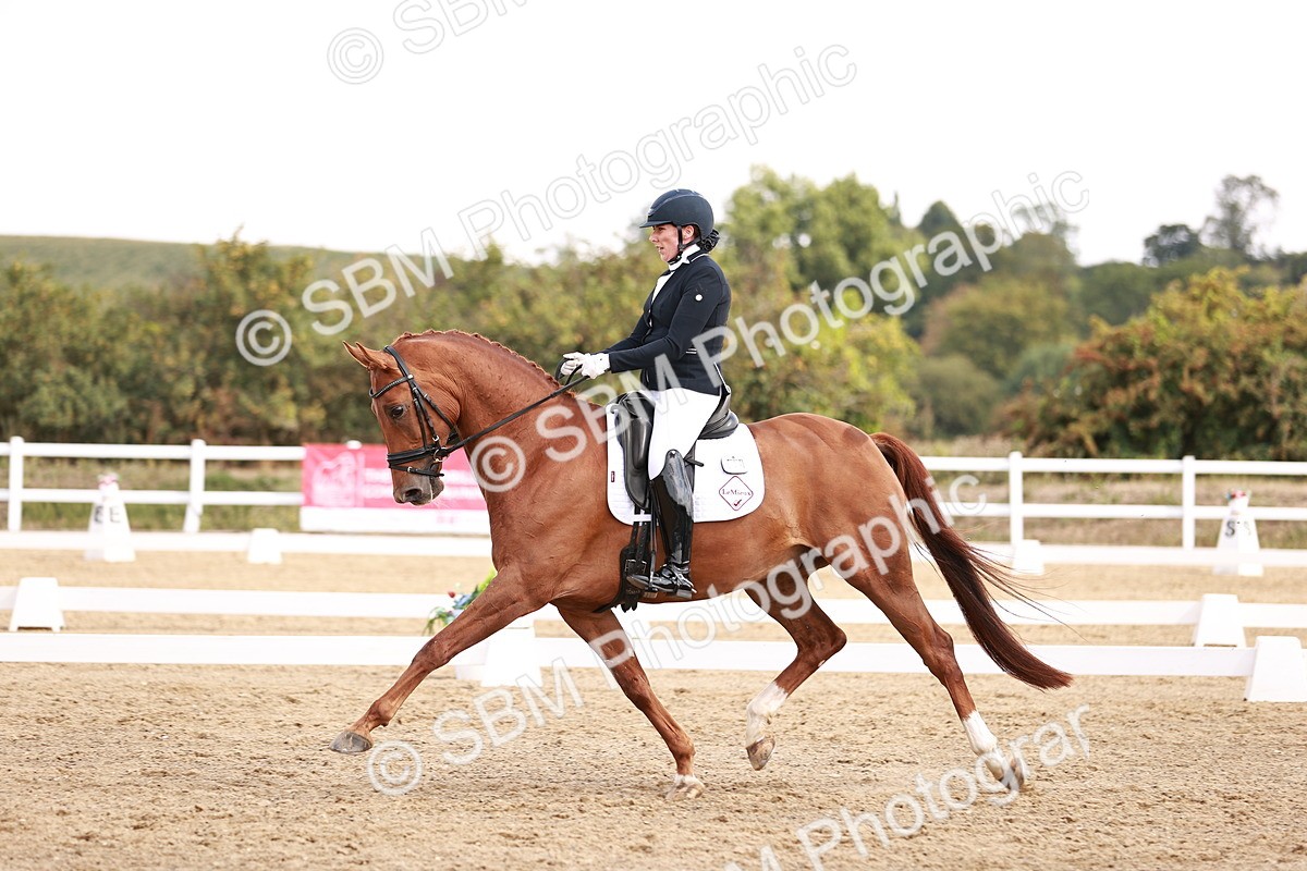 SBM_017680 - Class 11 - Advanced Medium 6