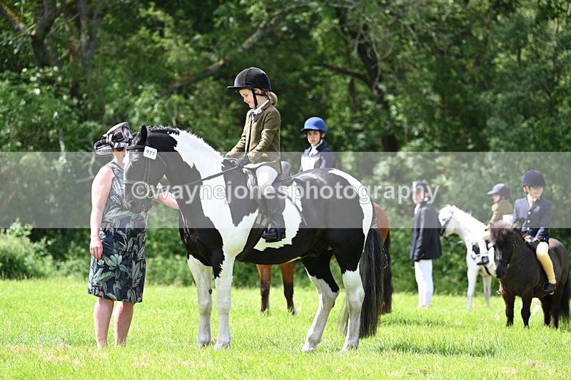WJ7_1416 - Class 11 Condition & Turnout